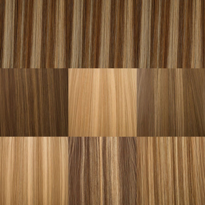Highlights