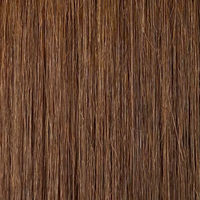 Dark Golden Blonde #6.3 Warm