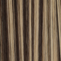 Espresso Blonde #5/11 Highlights