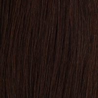 Light Golden Blonde #5.3 Warm