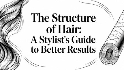 The Structure of Hair: A Stylist's Guide to Better Results