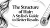 The Structure of Hair: A Stylist's Guide to Better Results