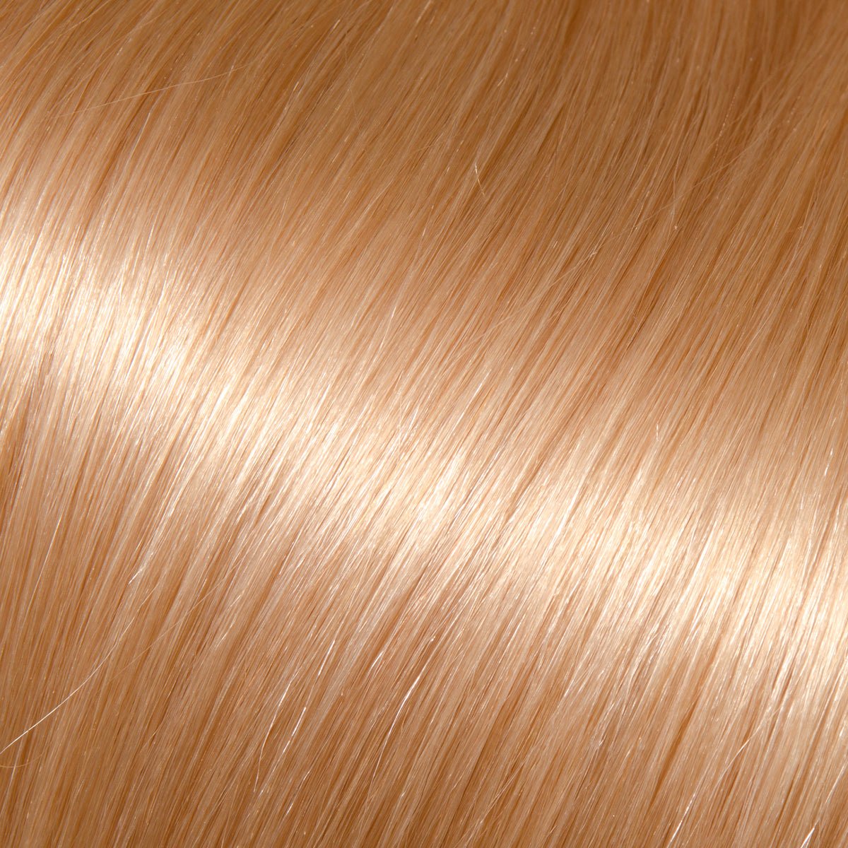 #8.3  Light Golden Blonde Warm - Conde Hair