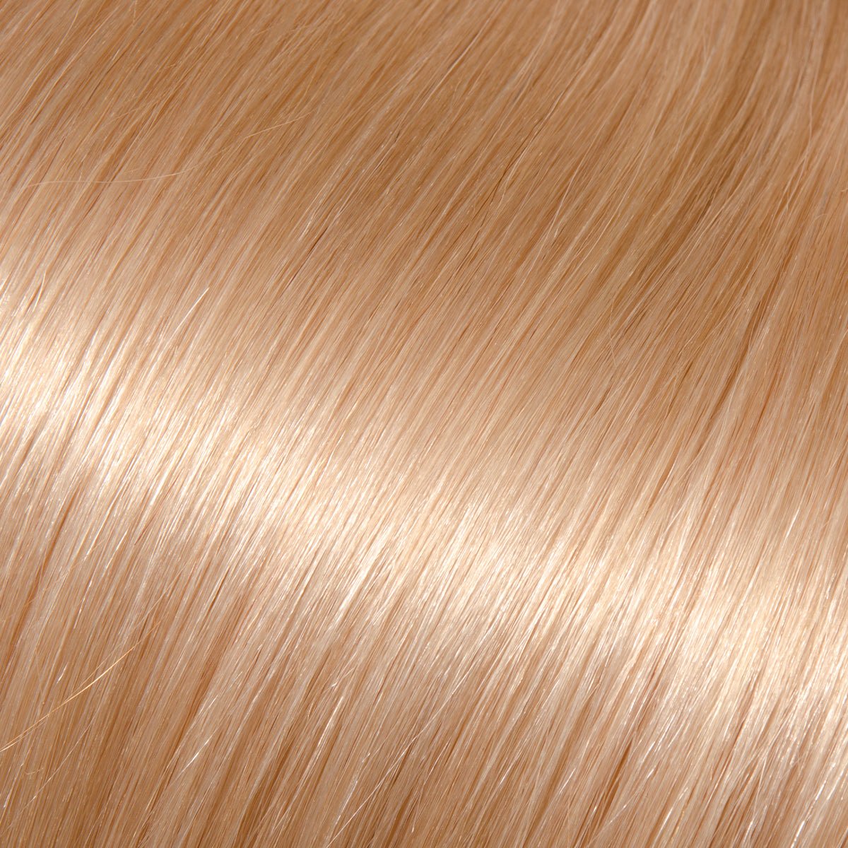 #9.3 Very Light Golden Blonde Warm - Conde Hair