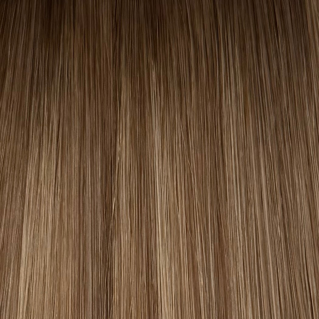 Hazelnut Dimension #6/7/11