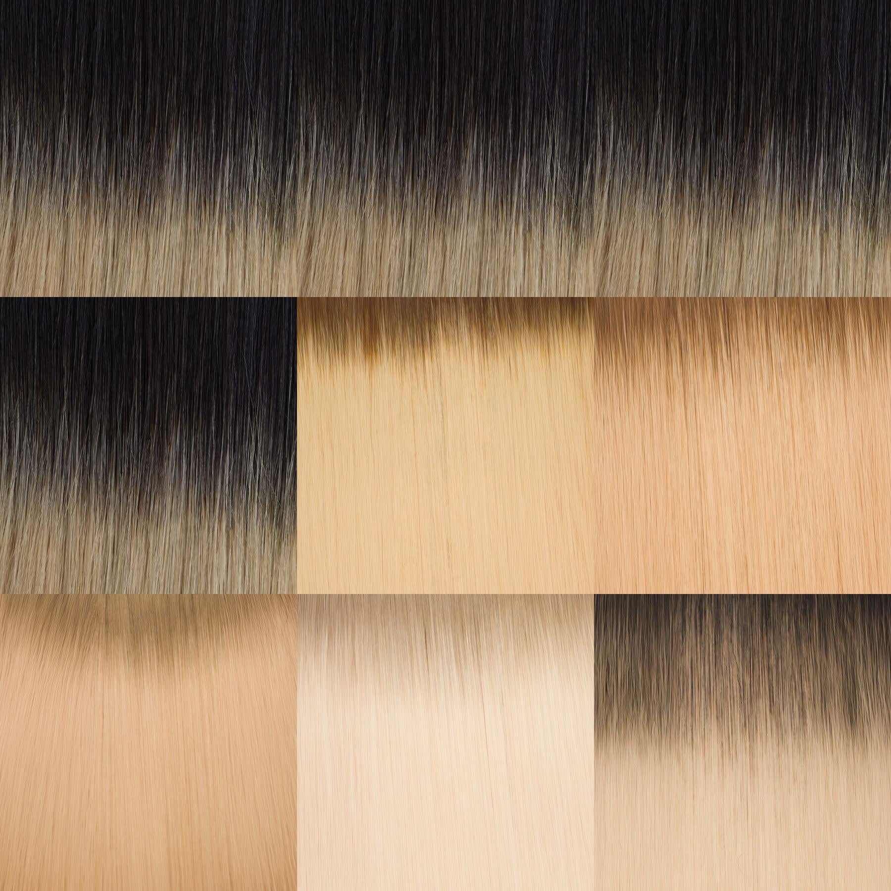 Rooted shade collage