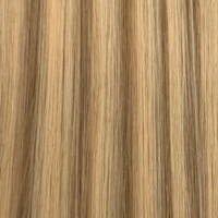 Buttery Blonde #9/10 Highlights