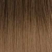 Sun Kissed #7/8/10 Balayage