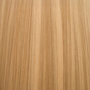 swatch:buttery-blonde-9-10-highlights