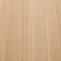 Tape-In Dirty Blonde #10/10.13 Superblend