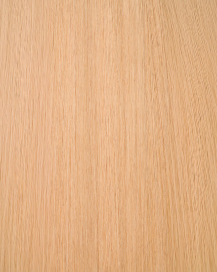 swatch:extra-light-blonde-10-solid