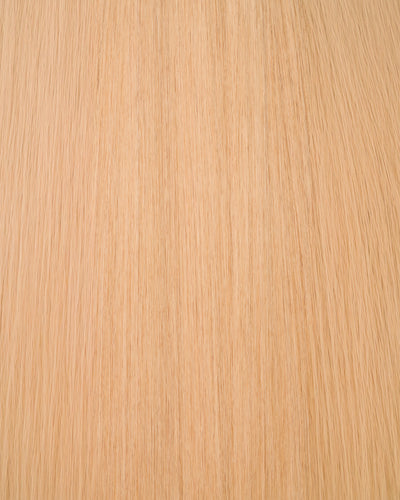 swatch:extra-light-blonde-10-solid