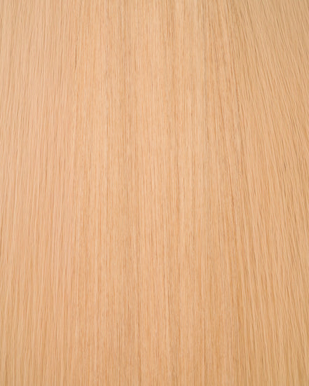 swatch:extra-light-blonde-10-solid