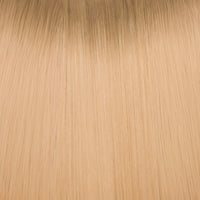 Iced Beige #7.1/10.13 Rooted