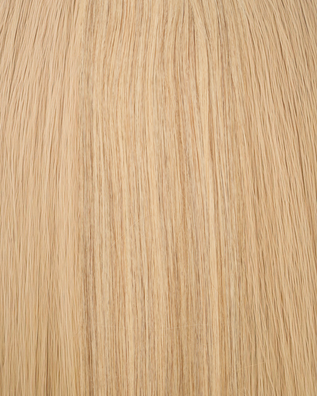 swatch:sandy-shore-6-11-superblend