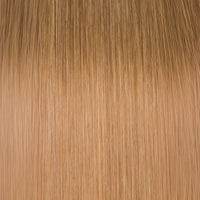 Sun Kissed #7/8/10 Balayage