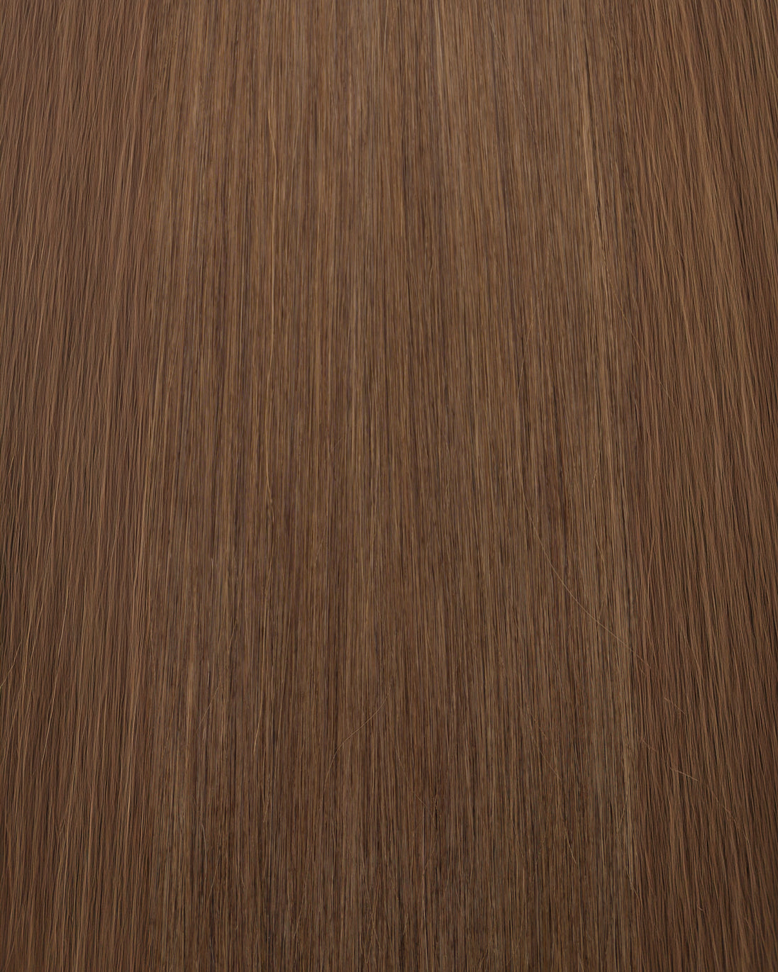 swatch:teddy-blonde-7-11-solid