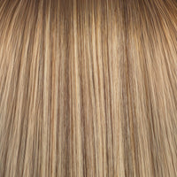 Toasted Marshmallow #5/6/12 Balayage