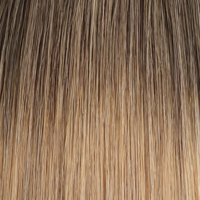 Bulk Vanilla #5/6/11 Balayage hair extensions - balayage shade by Conde Professional